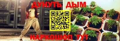 молекула духа Новодвинск