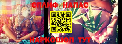 МДПВ Новозыбков
