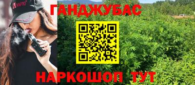 МДПВ Новозыбков