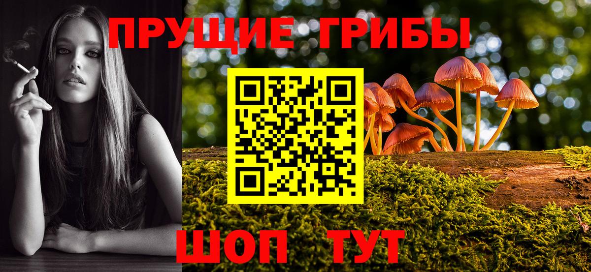 Советский  Псилоцибиновые грибы GOLDEN TEACHER  Псилоцибиновые грибы Psilocybe  Вход с VPN 