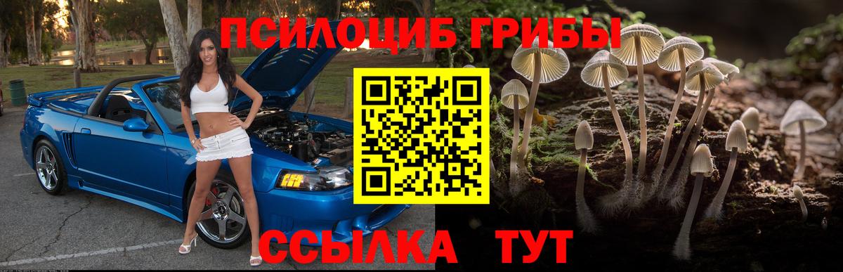 Псилоцибиновые грибы прущие грибы Советский